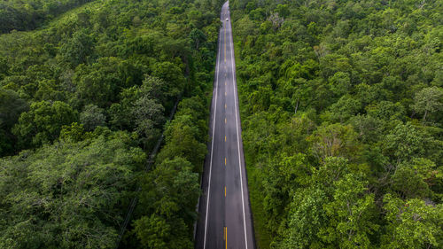 Aerial view over forest road with asphalt road and forest, road in the middle of the forest.