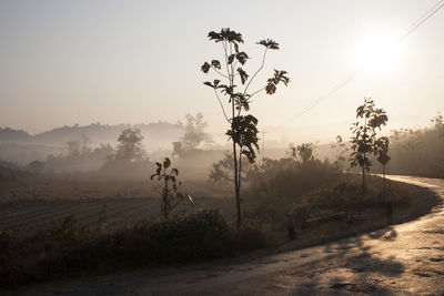 Scenic view of landscape against sky