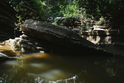 Statue by trees against water