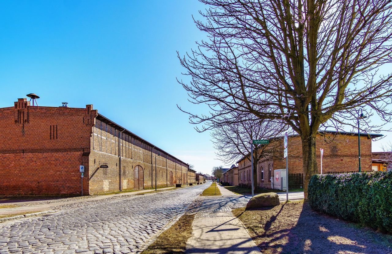 ROAD AMIDST BARE TREES AND BUILDINGS AGAINST SKY