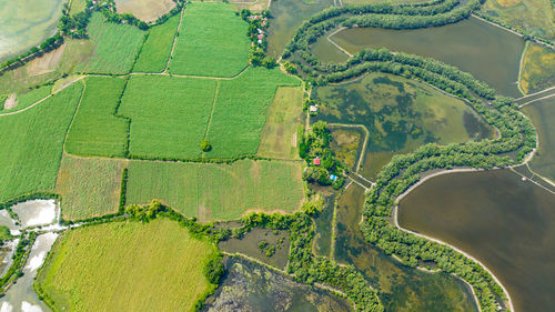 Aerial drone of flooded rice fields and farmland in the countryside.  hinigaran river.philippines