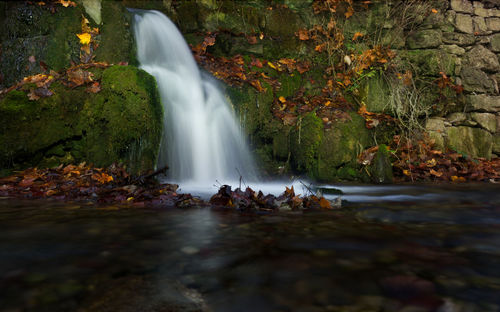 Scenic view of waterfall in forest