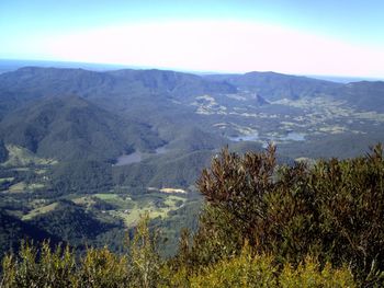 wilderness