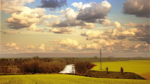 Scenic view of field against sky