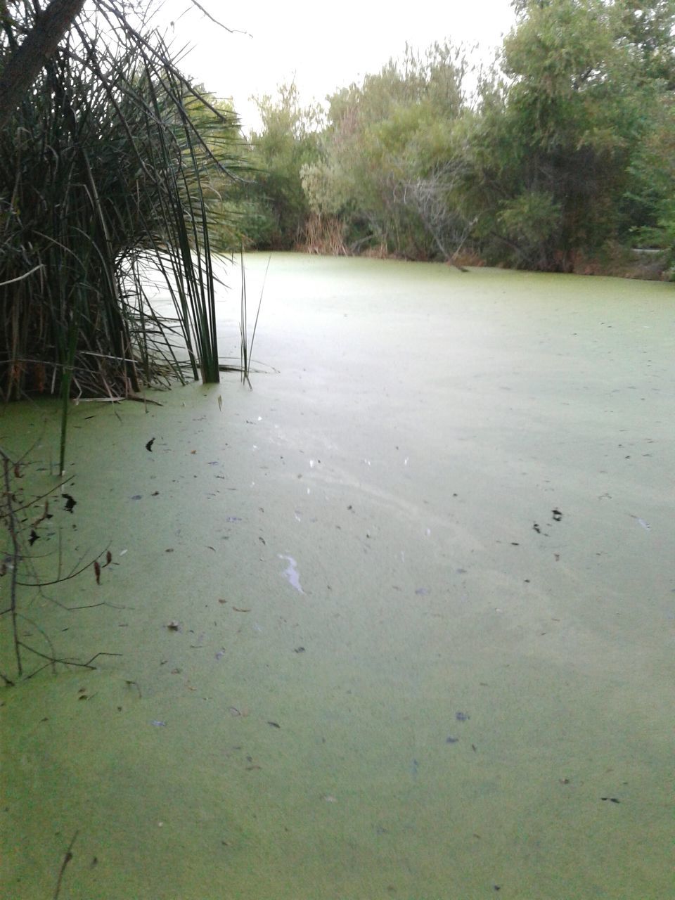 VIEW OF RIVER