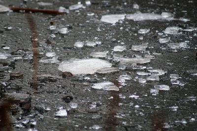Close-up of raindrops on snow