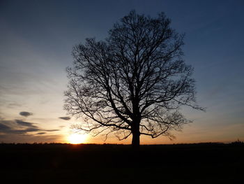 Silhouette tree against sky during sunset