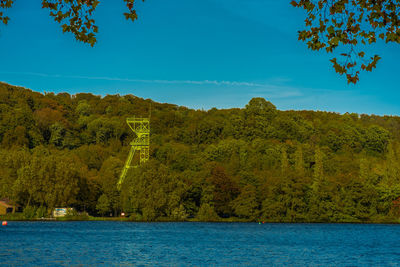 Scenic view of trees and plants against blue sky