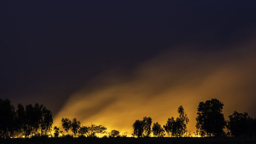 Low angle view of silhouette trees against sky during sunset