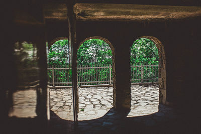 Plants seen through window in old building