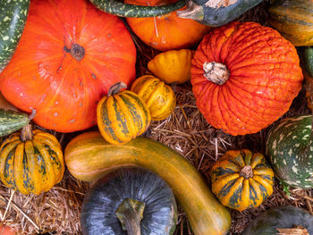 High angle view of pumpkins