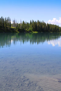 Scenic view of lake in forest against sky