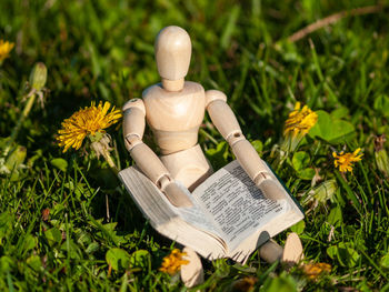 Close-up of open book on field