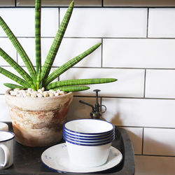Close-up of potted plant on table at home