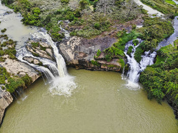 Scenic view of waterfall in forest