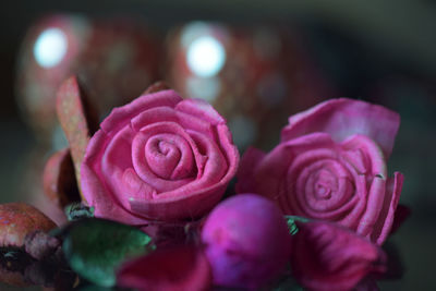 Close-up of pink roses