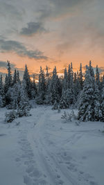 Snow covered field against sky during sunset