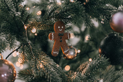 Close-up of gingerbread man ornament on christmas tree