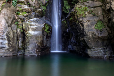 Scenic view of waterfall in forest