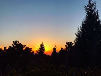 Silhouette trees on landscape against sky at sunset