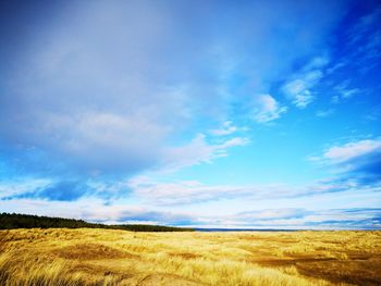 Wild landscape toward the beach