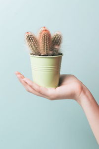 Close-up of hand holding cup against white background