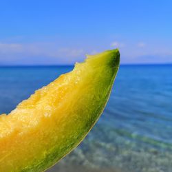 Close-up of fruit on sea against blue sky