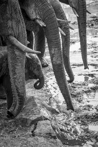 Low section of man on grassy field