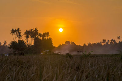 Scenic view of field against sky during sunset