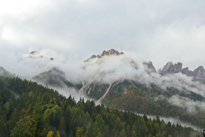 Trees against rocky mountain range