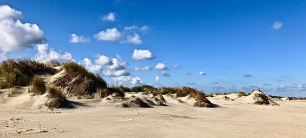 Scenic view of beach against blue sky