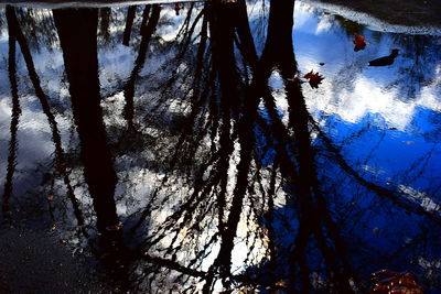 Low angle view of silhouette trees against sky