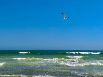 Seagull flying over sea against sky