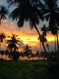 Silhouette palm trees on field against sky at sunset