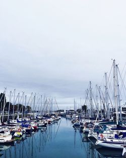 Sailboats moored in harbor