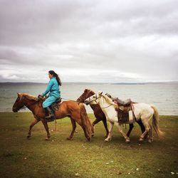 Horses riding horse in sea