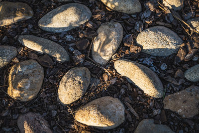 High angle view of stones on beach