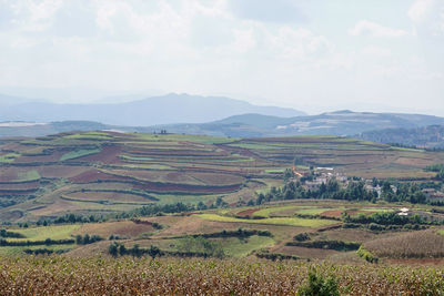 Scenic view of agricultural field against sky