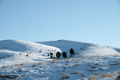 Scenic view of snowcapped mountain against clear sky