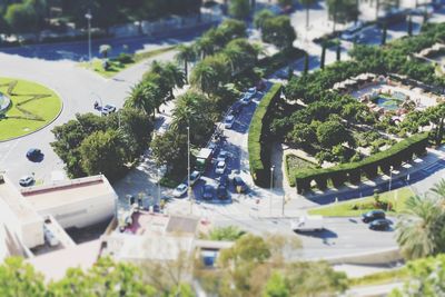 High angle view of trees