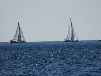 Sailboat sailing on sea against clear sky