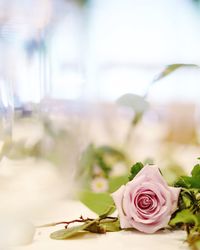 Close-up of rose bouquet on table