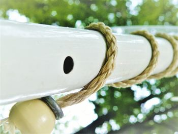Close-up of rope against trees