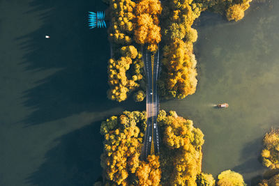 High angle view of plants by building against sky