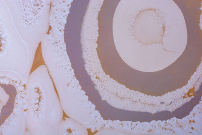 Full frame shot of cake