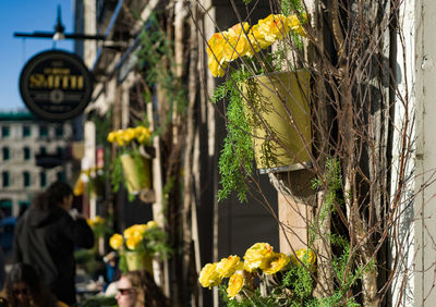 Rear view of woman standing by plants