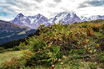 Scenic view of mountains against sky