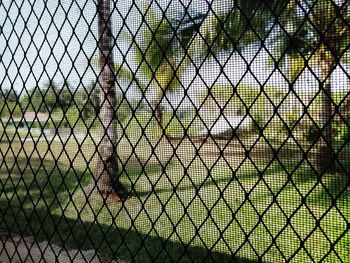 Close-up of chainlink fence