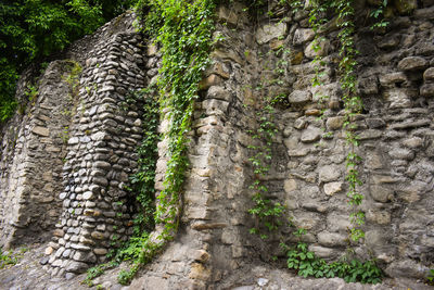 View of stone wall in forest