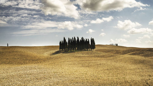 Scenic view of field against cloudy sky